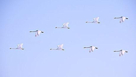 借《星空》东风！《无人深空》Steam在线来到一年最高